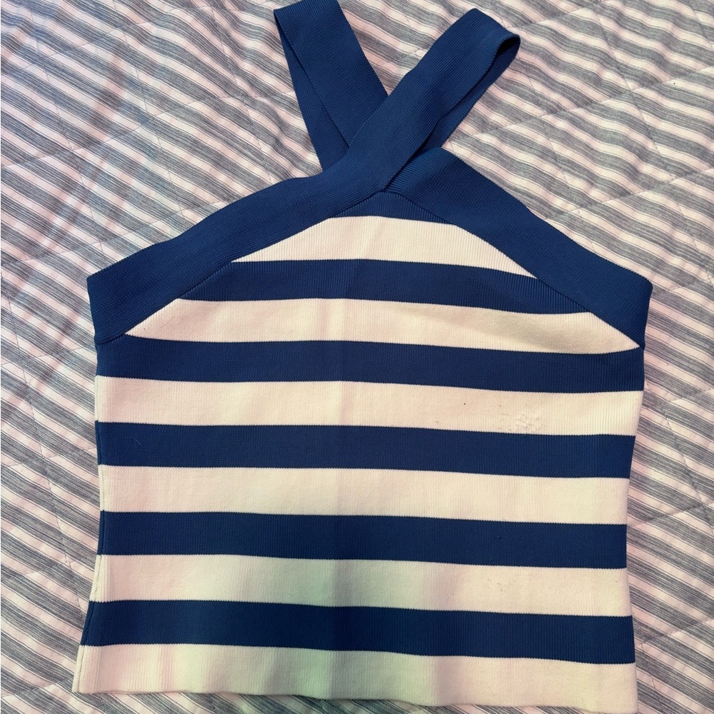 Sincerely Jules Navy and White Striped Tank Top